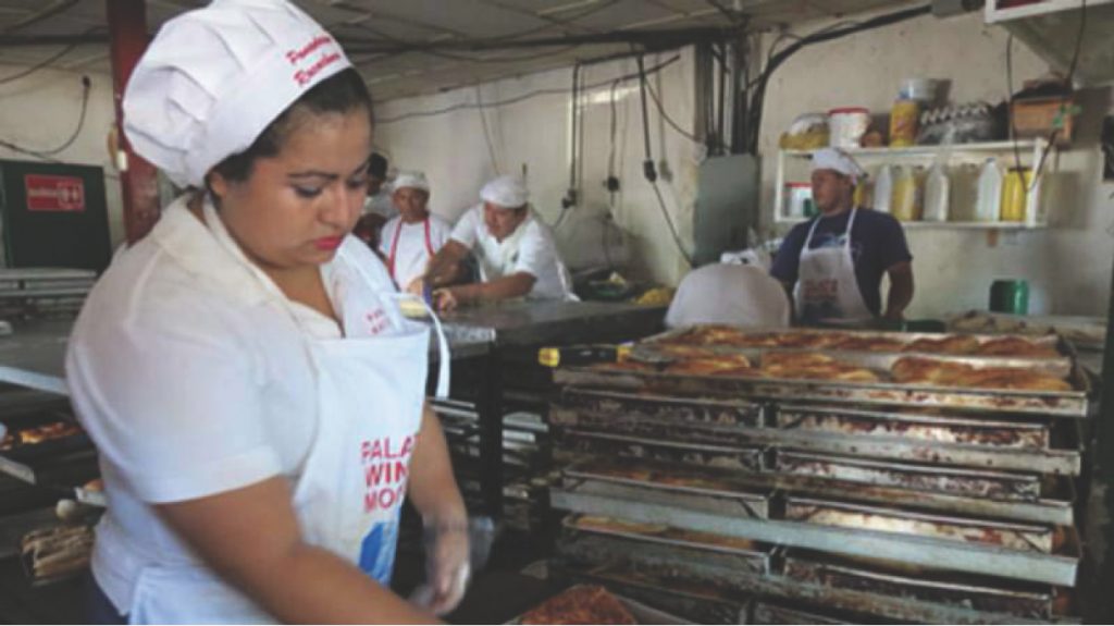 Gobierno busca generar emprendedores