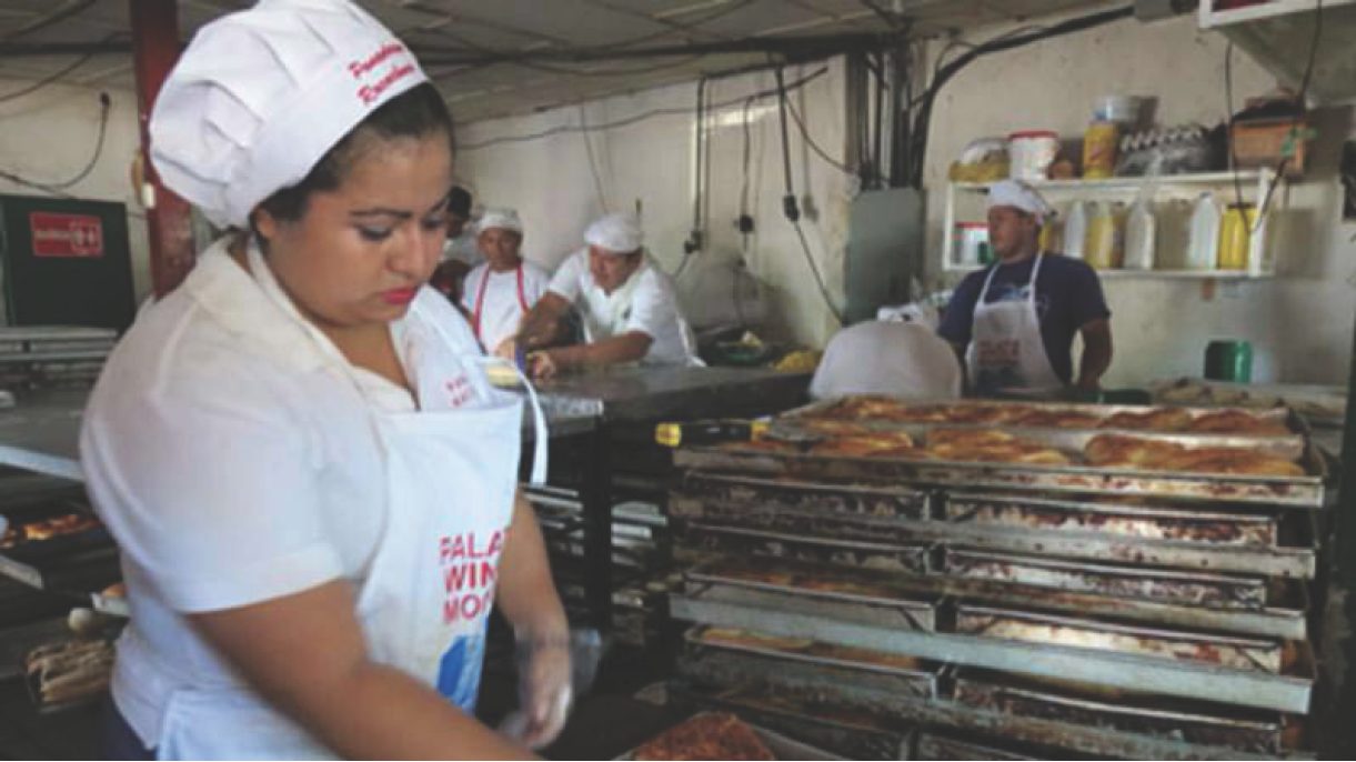 Gobierno busca generar emprendedores