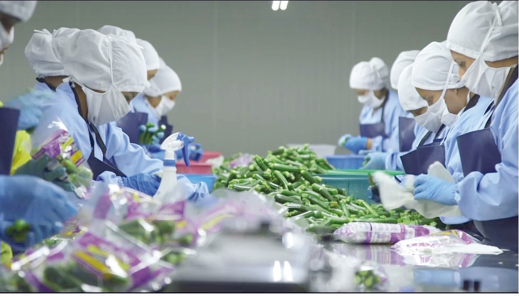La agroindustria como motor del desarrollo sostenible