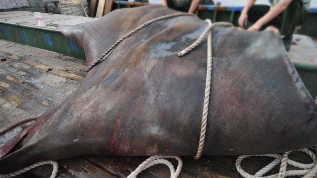 5e5f99d759bf5b230f42481a