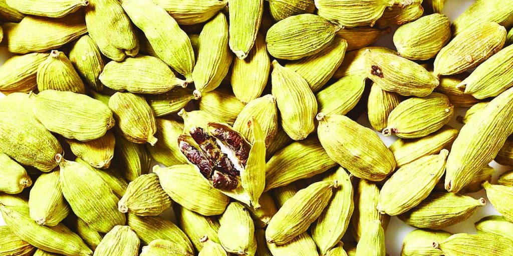Cosecha de cardamomo a bajo precio 1 primera-pag-9-archivo