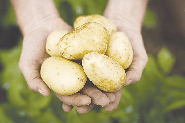 papas