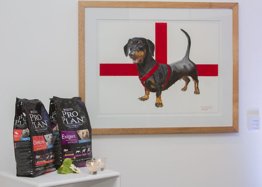 proplan3 1