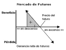 Conociendo el mercado de futuros 2 image 12