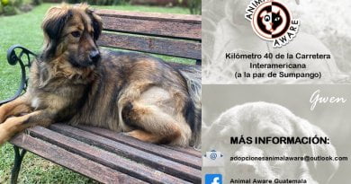 publicidad