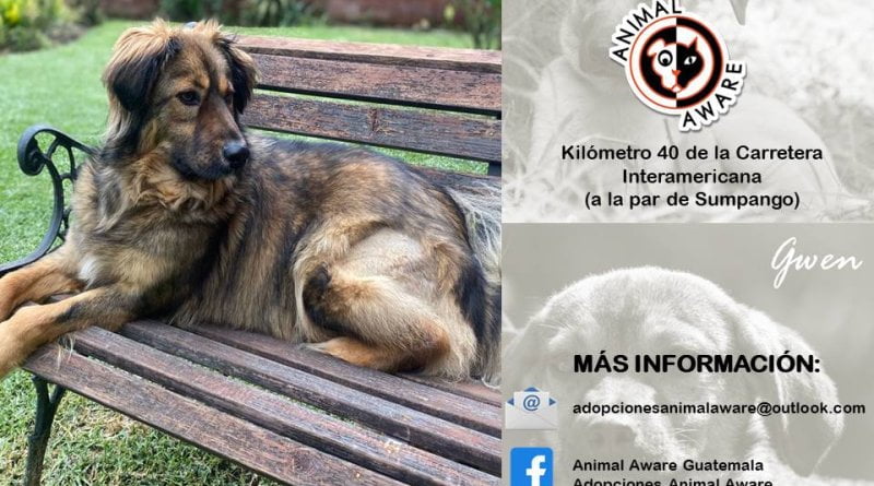 publicidad