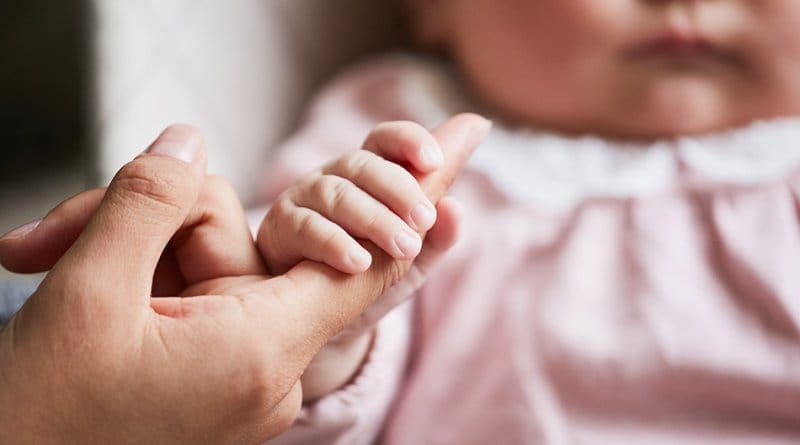 hipotiroidismo y embarazo instituto de fertilidad mallorca IFER