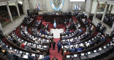 diputados