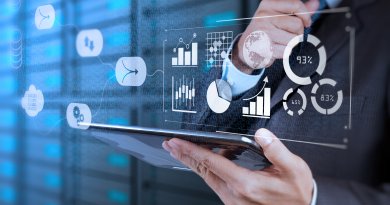sistema gestion datos dms concepto business analytics
