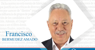 Francisco Bermudez