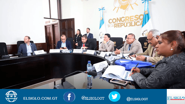 Movimiento Semilla Presupuesto