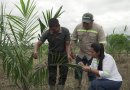 Naturaceites en Guatemala