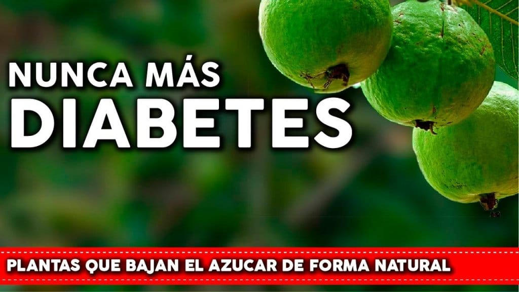 ¿Cómo controlar la diabetes de manera natural? 1 imagen de referencia para controlar la diabetes de forma natural.