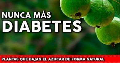 imagen de referencia para controlar la diabetes de forma natural.