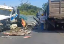 accidente atendido por provial