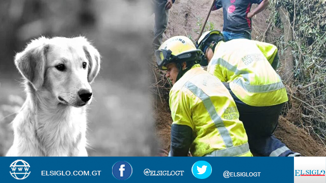 perrito murio soterrado junto duena sismos guatemala 1024x530 2