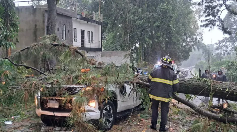 Árbol cae sobre vehículo en Quetzaltenango