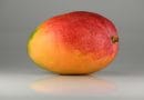 Mango single