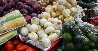 Sube la gasolina, sube la mesa: así impacta el alza de combustibles en los precios de la canasta básica Sube la gasolina, sube la mesa: así impacta el alza de combustibles en los precios de la canasta básica